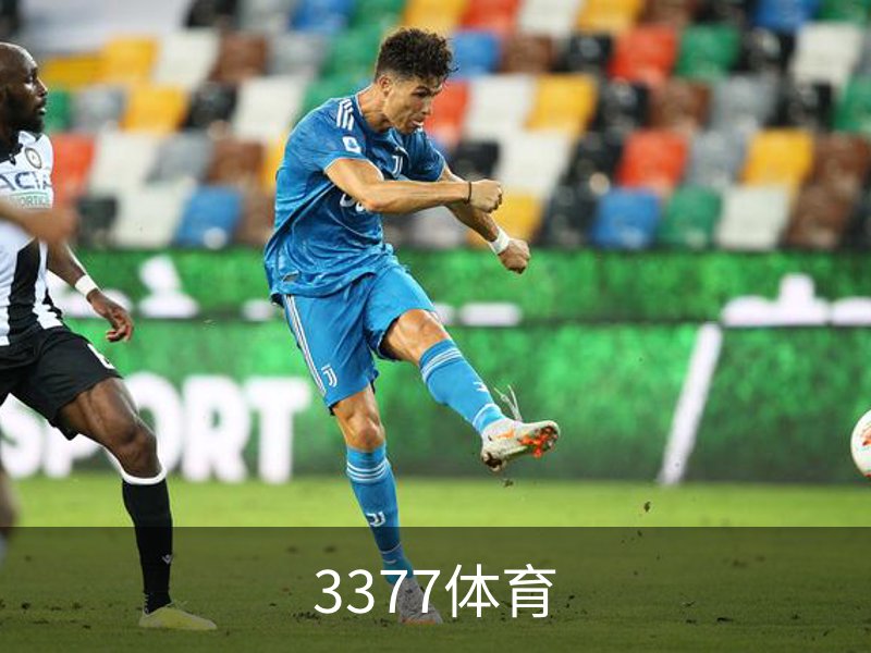 了解3377体育